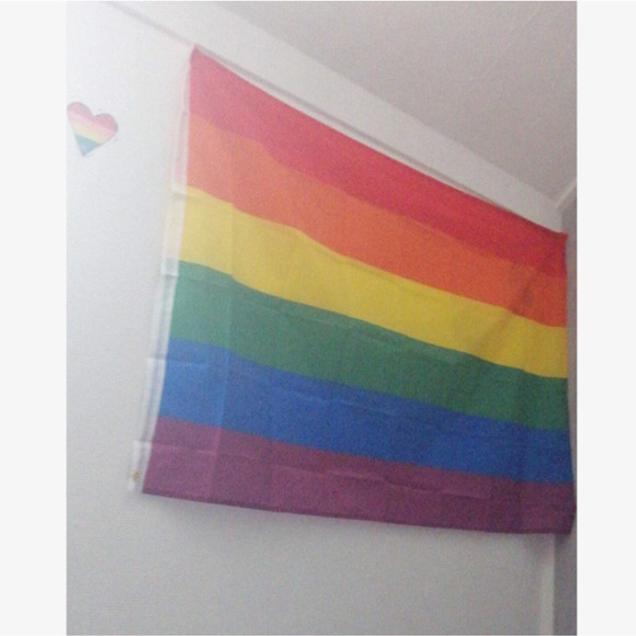 LGBTQ Rainbow Stripe 6-Color Pride Flag - Picture 7 of 9